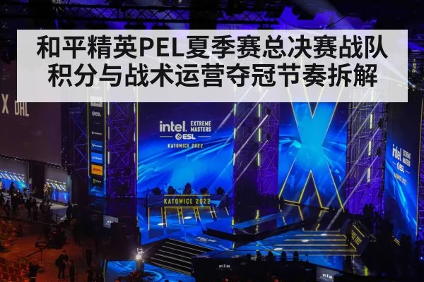 和平精英PEL夏季赛总决赛战队积分与战术运营夺冠节奏拆解